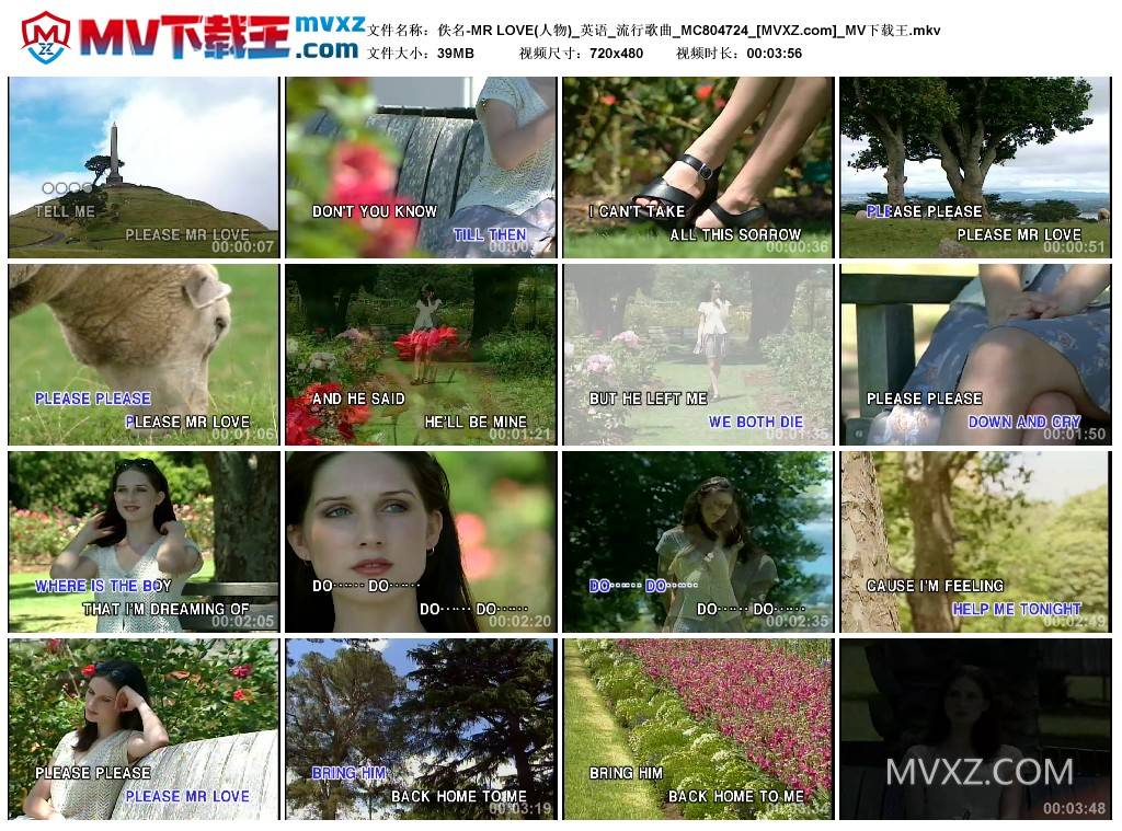 佚名-MR LOVE(人物)_英语_流行歌曲_MC804724